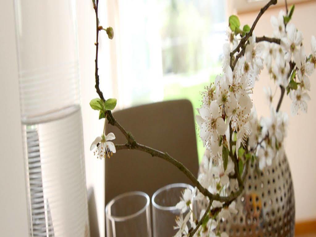 Boutique Hotel Villa Katharina Бамберг Екстериор снимка